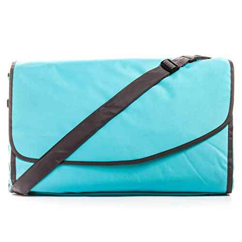 Buy Camco 42809 Aqua 57 Inch x 57 Inch Picnic Blanket with Carrying Strap