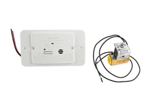 Combination Carbon Monoxide/Propane Detector White - Young Farts RV Parts