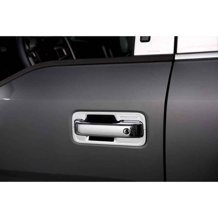 Door Handle Cover 15 F150 4D Deluxe - Young Farts RV Parts