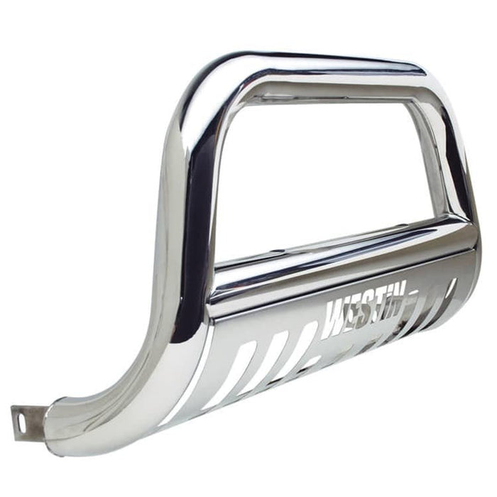 E - Ser Bull Bar 2010 F - 150 - Young Farts RV Parts