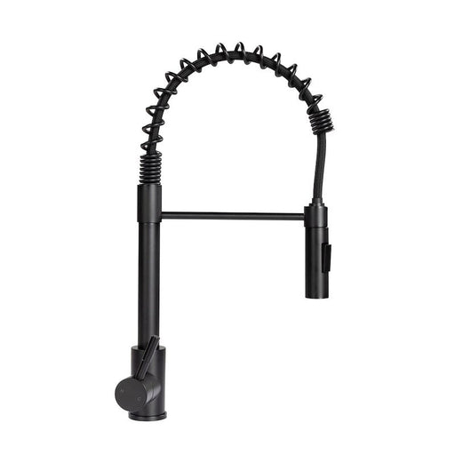 Lippert Components 2021090598 - Coiled Pull - down Faucet Matte Black - Young Farts RV Parts