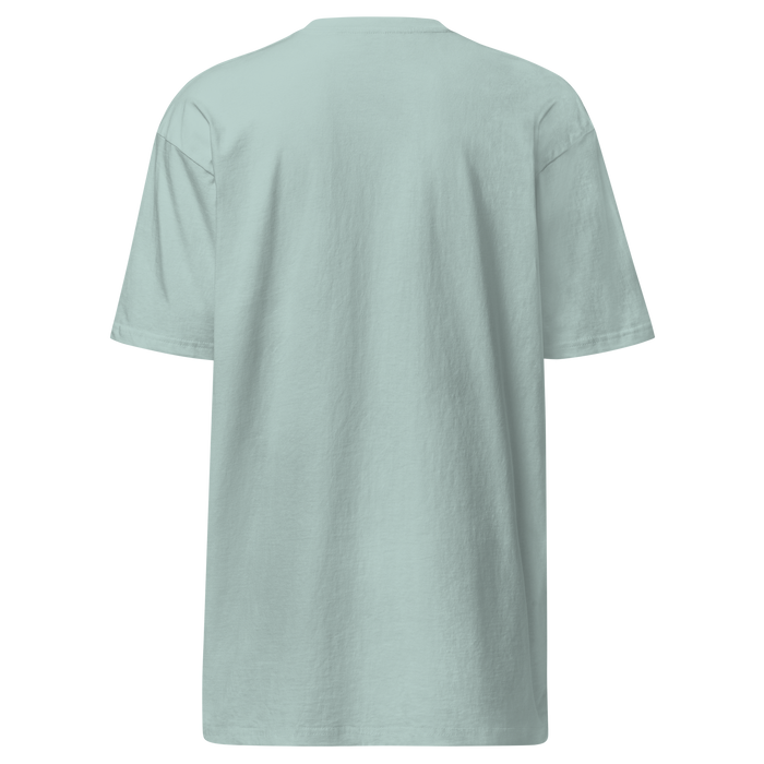 I’m a Professional T-Shirt