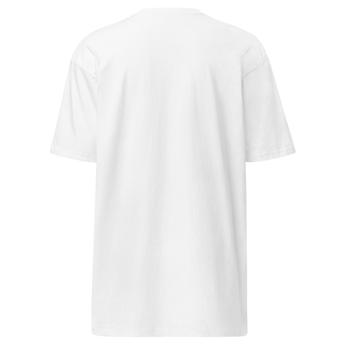 I’m a Professional T-Shirt