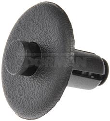 Dorman 963-408D OE Solutions Push Rivet; 1"