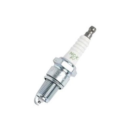 Spark Plug Gas & LP Vapor