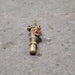 Used Atwood Wedgewood Burner Valve 6500 BTU 57251 - Young Farts RV Parts