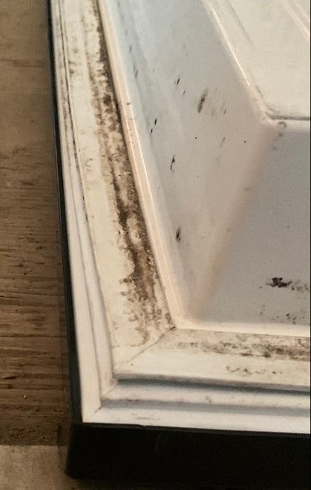 Used Dometic Refrigerator Freezer door 2932561208 not In great shape - Young Farts RV Parts