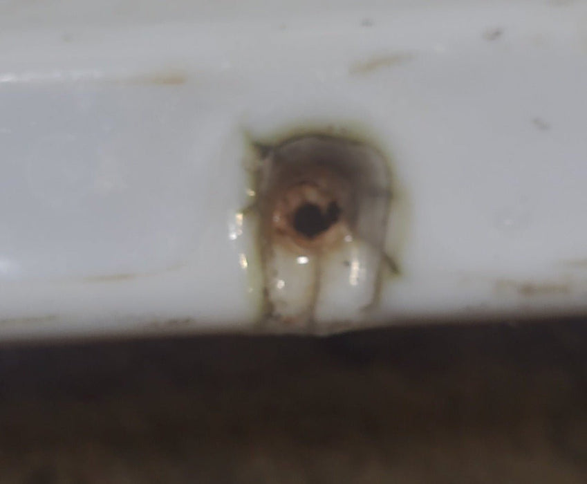 Used Inner Skylight 24 1/4" X 16 1/4"