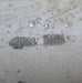 Used RV Slide Out Motor - Young Farts RV Parts