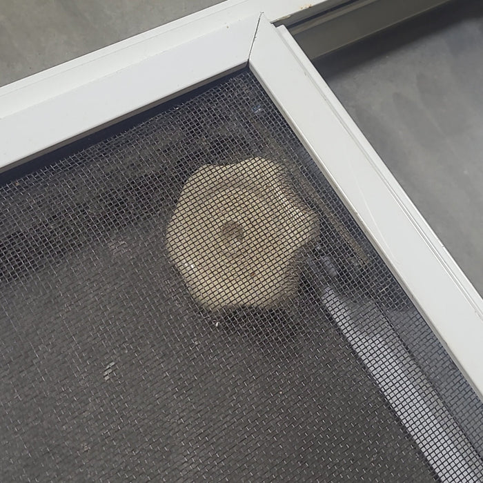 Used White Radius Opening Window : 45 1/2" W x 21 1/2" H x 2" D