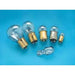 Buy Speedway NC10342CD Light Bulb 1034 Pair - Lighting Online|RV Part Shop