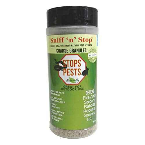 Buy Valterra V23625 Sniff N Stop Detergent Granules - Pests Mold and Odors