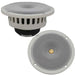 Buy DC Gold Audio N5C WHITE 4 OHM N5C 5.25" Classic Series Speakers - 4