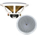 Buy DC Gold Audio N9.5C WHITE 4 OHM N9.5C 9.5" Classic Series Speaker - 4