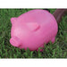 Buy E49 Enterprises E49PW001 Sewiepig Sewerhose Weight Pink - Sanitation