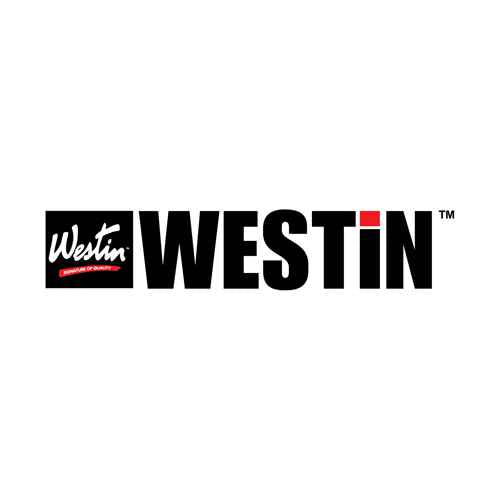 Buy Westin 2454225 Nerf Bar - Platinum Oval Wheel to Wheel Step - Running