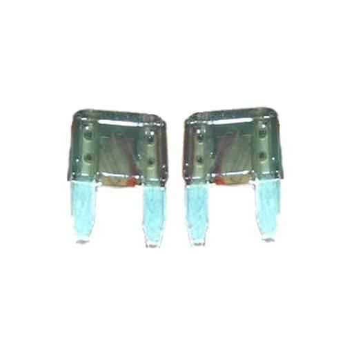 Buy Dometic 90145 2 Amp Fuse Mini Pair - 12-Volt Online|RV Part Shop