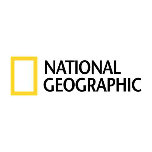 Buy National Geographic BK26216923 National Geographic Complete - Games
