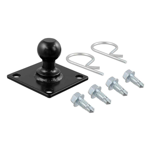 Buy Curt Manufacturing 17201 Trailer-Mounted Sway Control Ball for 17200 -