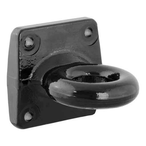 Buy Curt Manufacturing 48550 Flush-Mount Lunette Ring (35,000 lbs., 2-1/2"