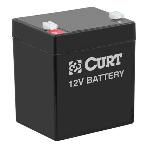 Buy Curt Manufacturing 52023 Breakaway Battery - Supplemental Braking
