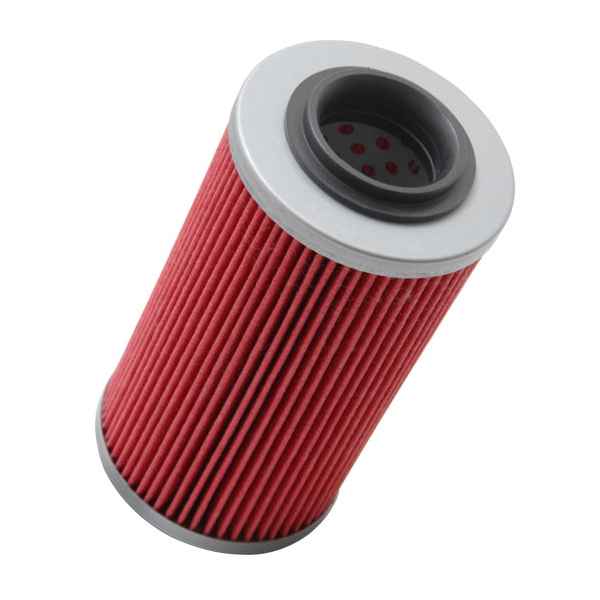 Buy K&N Filters KN556 OIL FILTER POWERSPORTS - Automotive Filters
