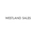 Buy Vesta DWV375DPK Door Panel Kit Dwv375Bbs Vesta - Dishwashers Online|RV