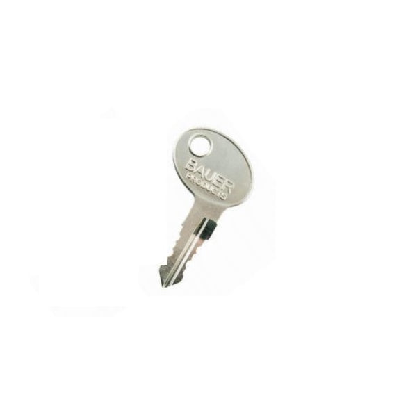 Buy AP Products 013689005 Bauer AE Series Replacement Key - Doors