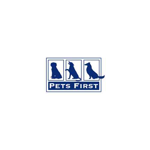 Buy Pets First FL3217LXL Collegiate Pet Accessories, Reversible Bandana