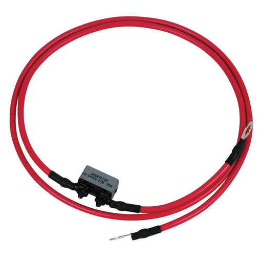 Buy MotorGuide MM309922T 8 Gauge Battery Cable & Terminals 4' Long - Boat
