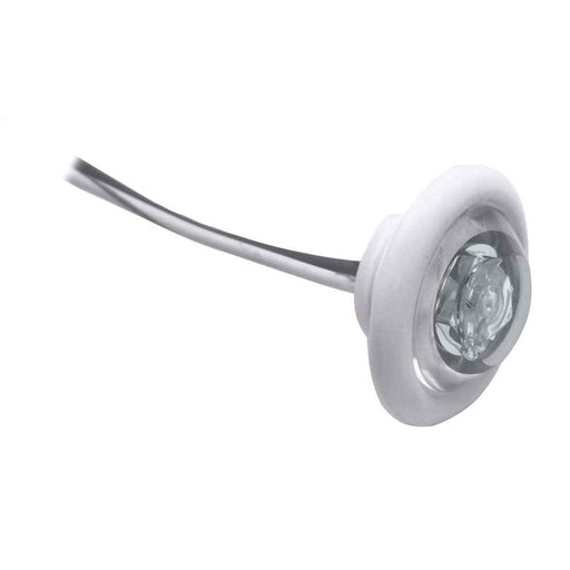 Buy Innovative Lighting 011-5540-7 LED Bulkhead/Livewell Light "The