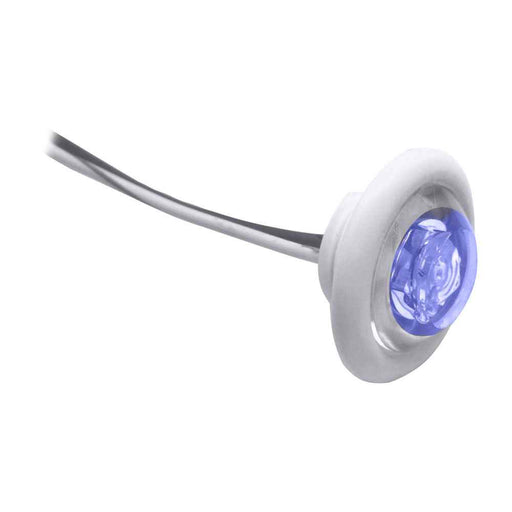 Buy Innovative Lighting 011-2540-7 LED Bulkhead/Livewell Light "The