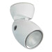 Buy Lumitec 111828 GAI2 - General Area Illumination2 Light - White Finish
