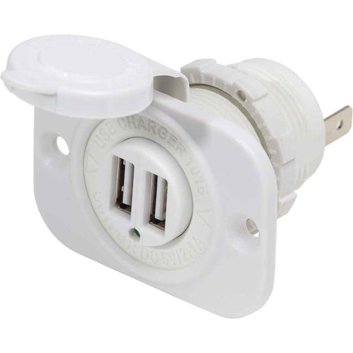 Buy Blue Sea Systems 1016200 12V DC Dual USB Charger Socket - White -