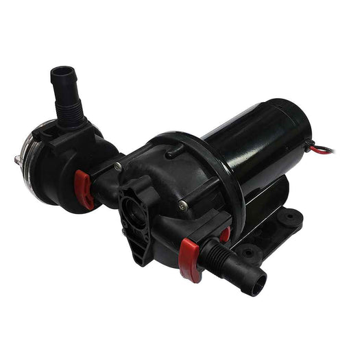 Buy Johnson Pump 10-13399-05 Flush Pump - 3.5 GPM - 12V w/Strainer -