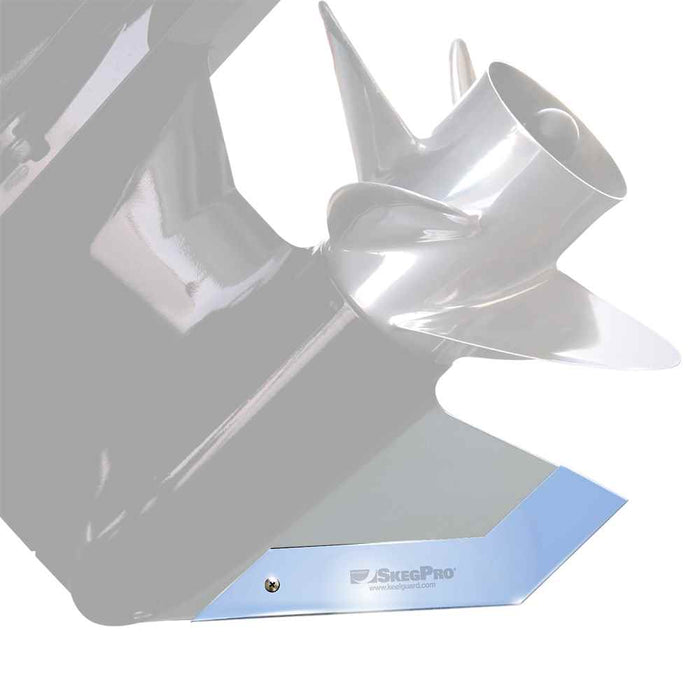 Buy Megaware 02661 SkegPro 02661 Stainless Steel Skeg Protector - Boat