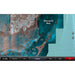 Buy Garmin 010-C1192-00 Standard Mapping - Florida One Classic microSD /SD