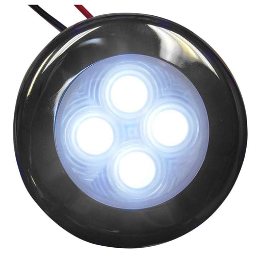 Buy Aqua Signal 16404-7 Bogota 4 LED Round Light - White LED w/Stainless