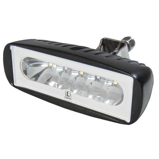 Buy Lumitec 101217 Caprera2 - LED Floodlight - Black Finish - 2-Color